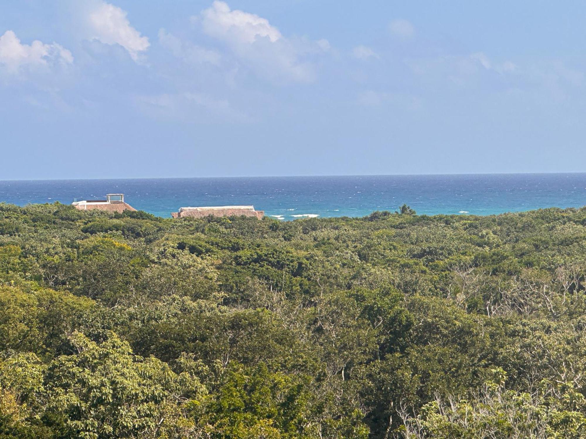 Amira District By Monkey Lifestyle Tulum